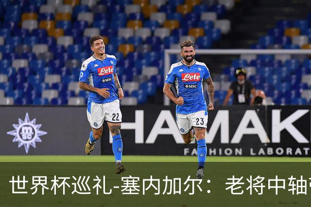 世界杯巡礼-塞内加尔：老将中轴带来安全感，非洲顶流前景可期！